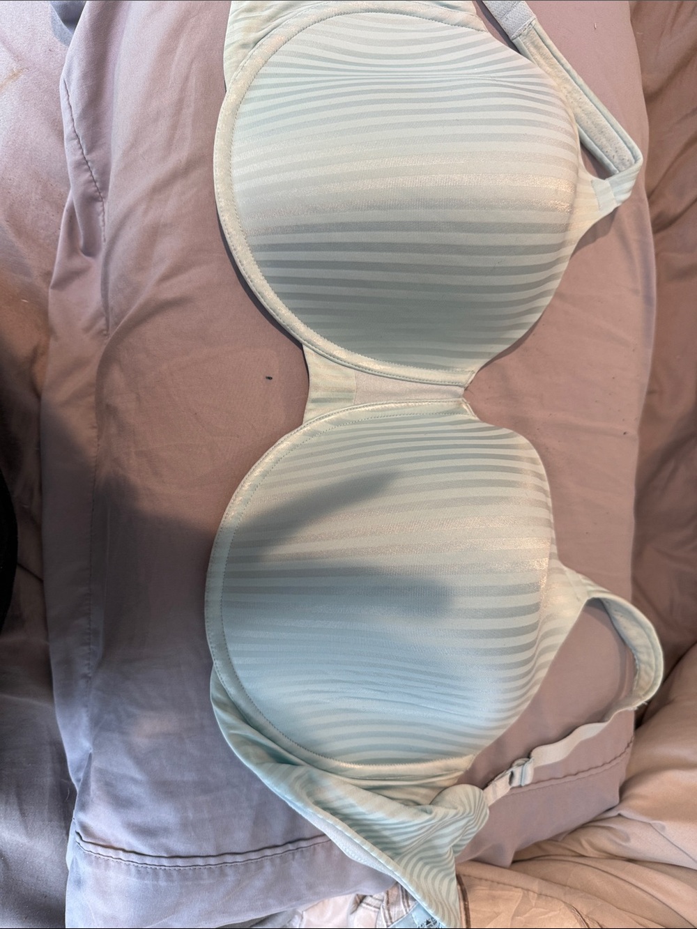 Playtex Light Blue Striped T-Shirt Bra